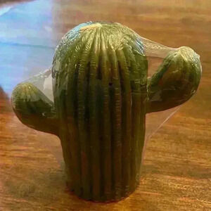 Cactus Candle NWT Unscented 24oz